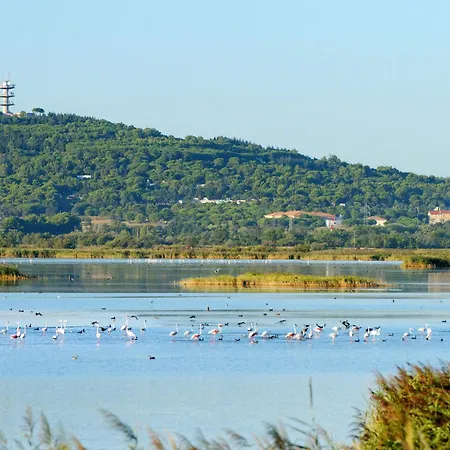 Les Grenadines-2 By Interhome